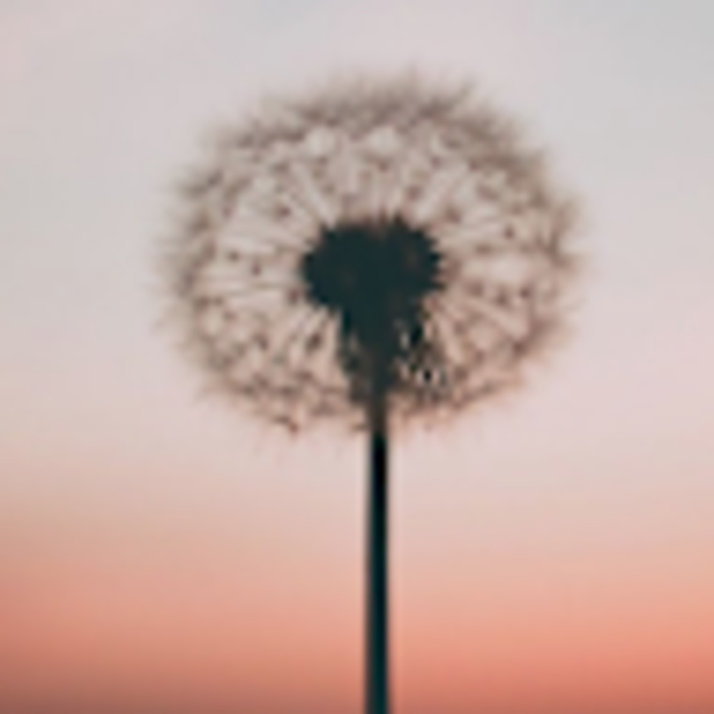 Meet your Posher, Eva